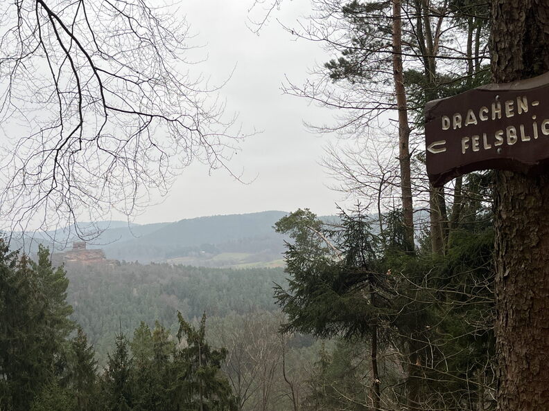 23-03-04 15-54-05 4731